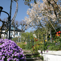 Garten in Hamburg-Blankenese