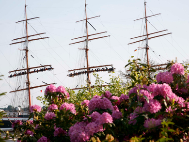 Garten in Hamburg-Blankenese